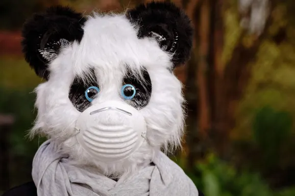 SlotsWin Casino Kundeservice